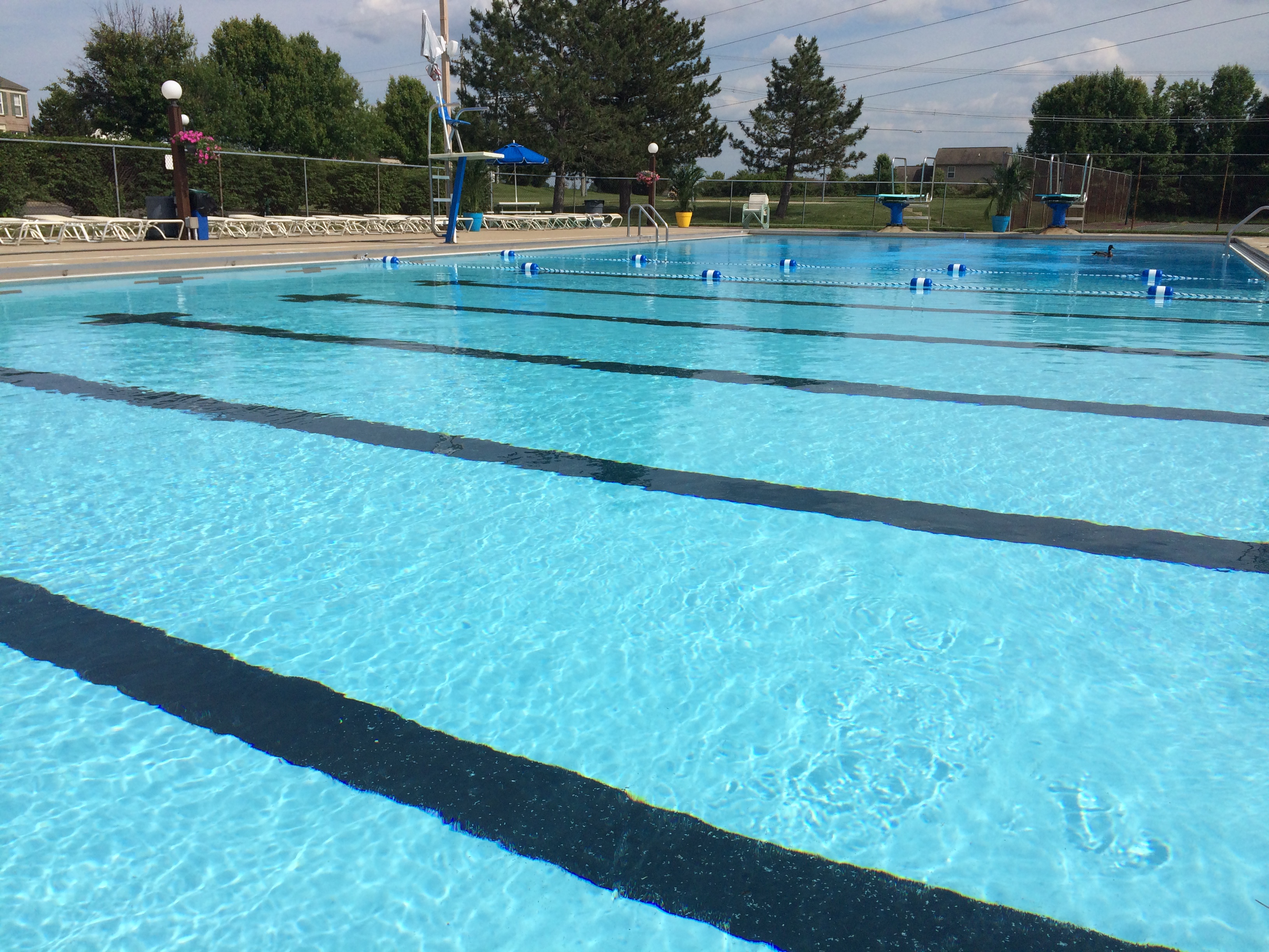 pool 4