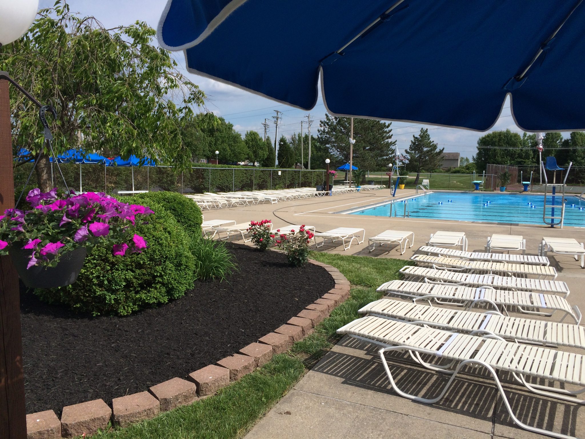 oak brook park district pool